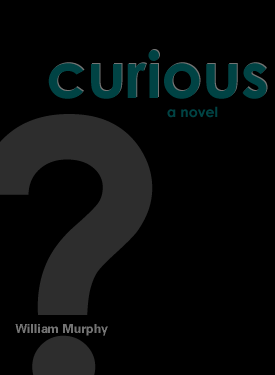 curious: a novel book jacket